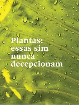 FRASE DE PLANTA XIV
