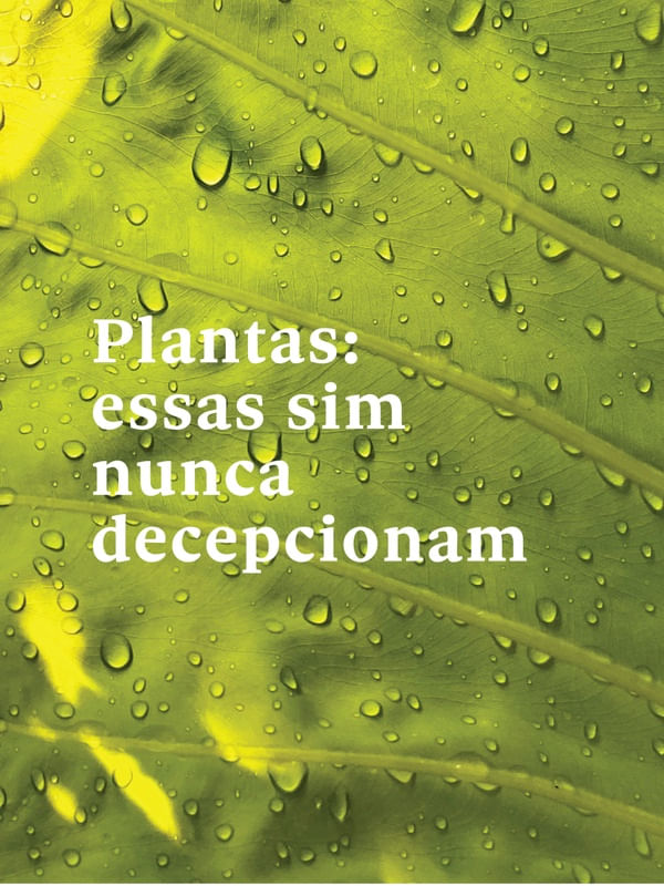 FRASE DE PLANTA XIV