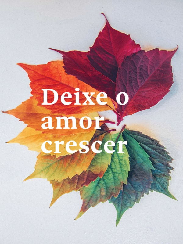 FRASE DE PLANTA XV
