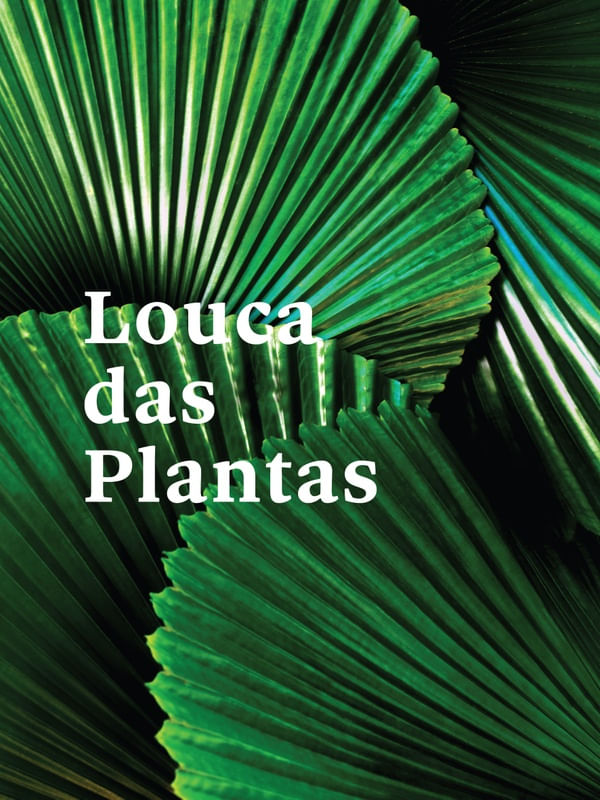 FRASE DE PLANTA XVIII