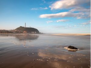 MORRO DO FAROL COM REFLEXO NA PRAIA DO CAL