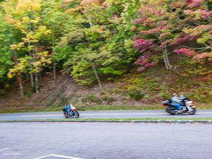 EASY RIDER LIBERDADE EM DUAS RODAS