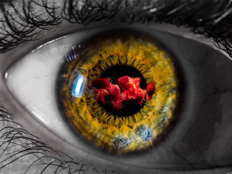 EYE FISH SURFING
