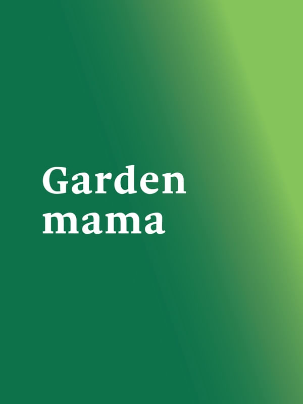 FRASE DE PLANTA XX