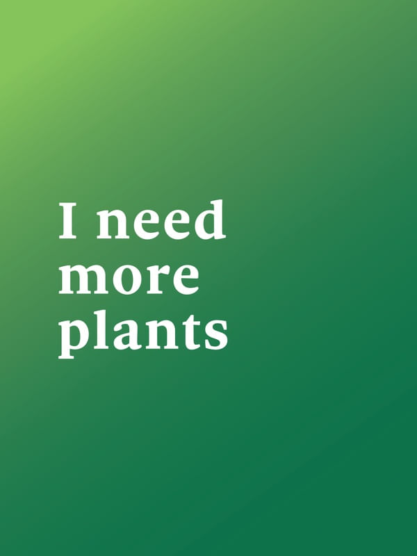 FRASE DE PLANTA XXI