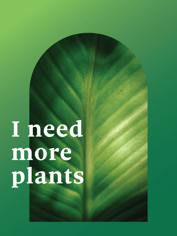 FRASE DE PLANTA XXXVI