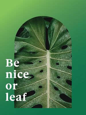 FRASE DE PLANTA XXXVII