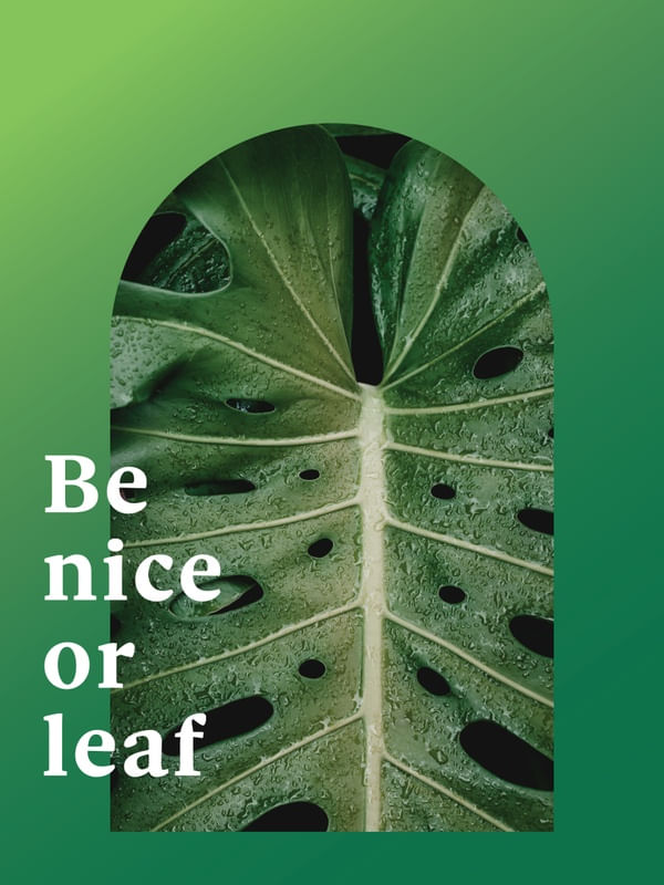 FRASE DE PLANTA XXXVII