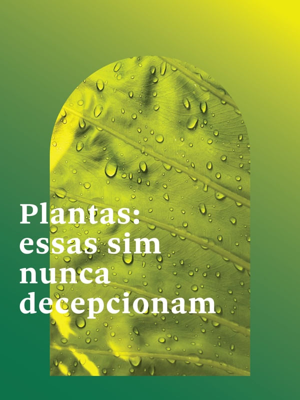 FRASE DE PLANTA XXXIX