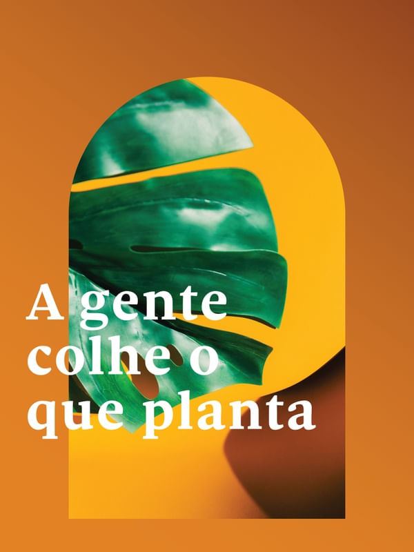 FRASE DE PLANTA XXXXI