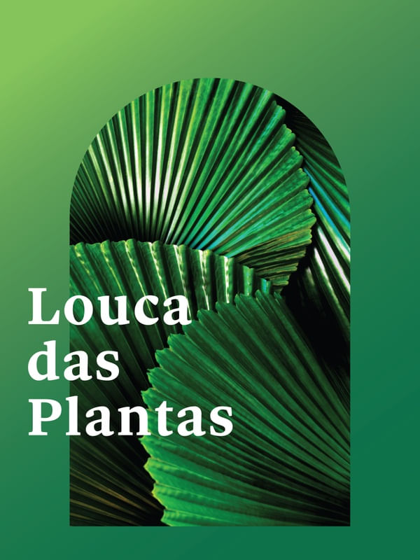 FRASE DE PLANTA XXXXII