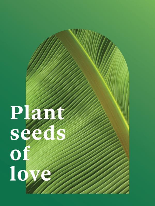 FRASE DE PLANTA XXXXIII