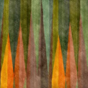 CORES DA MATA II