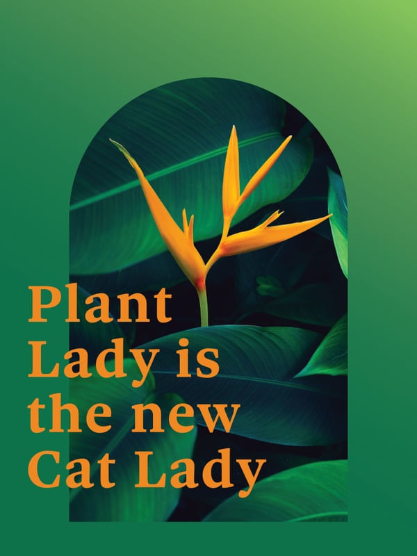 FRASE DE PLANTA XXXXIV