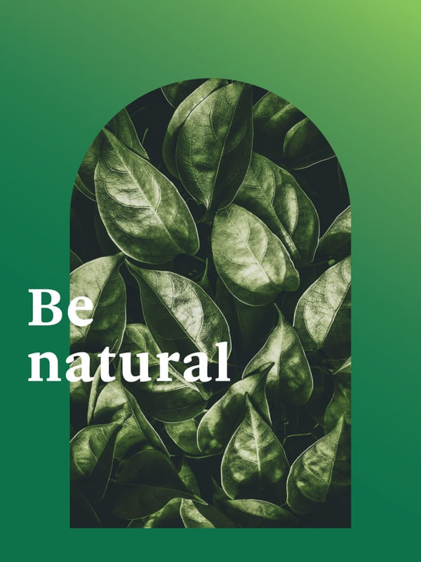 FRASE DE PLANTA XXXXVI