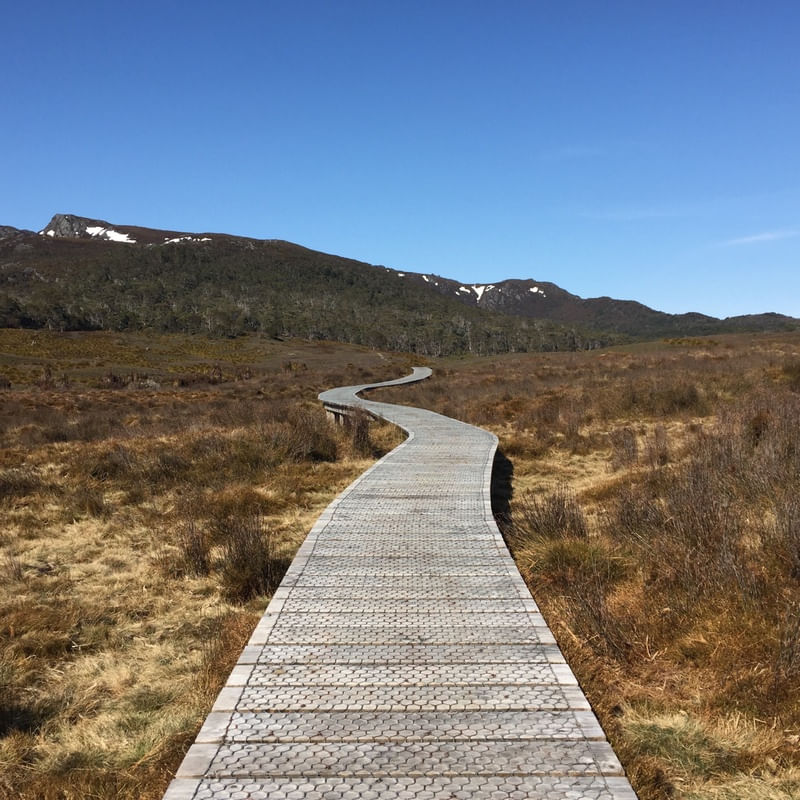 UMA TRILHA PARA AS MONTANHAS, CRADLE MOUNTAIN, TASMANIA, AUSTRÁLIA