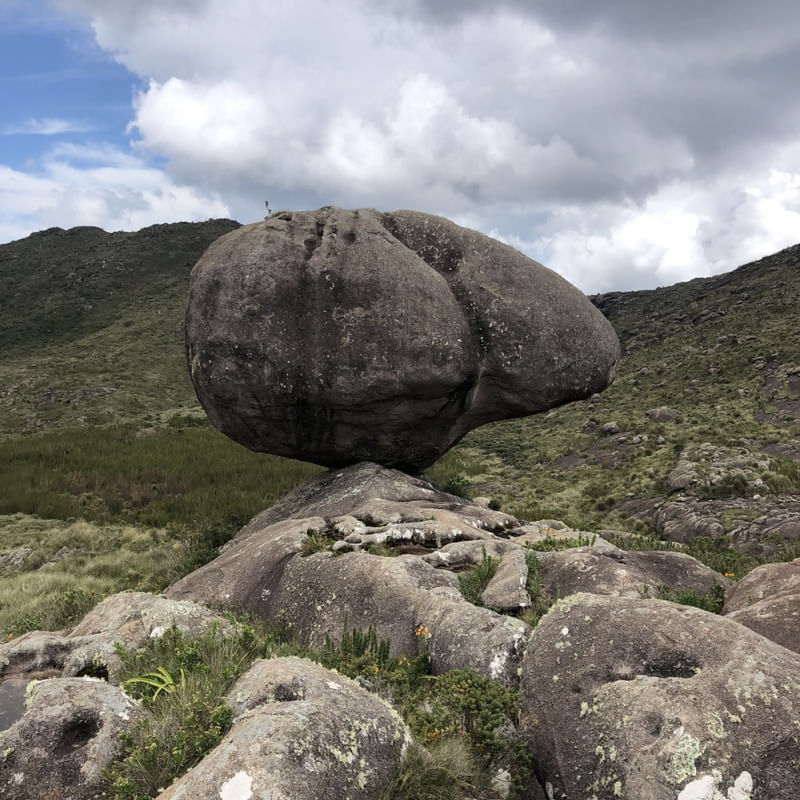 UM DOS OVOS DE GALINHA, PN ITATIAIA, RJ, BRASIL