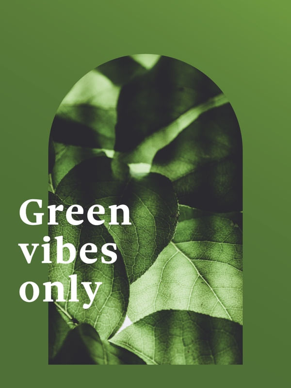 FRASE DE PLANTA XXXXVIII