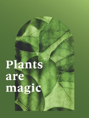FRASE DE PLANTA XXXXIX