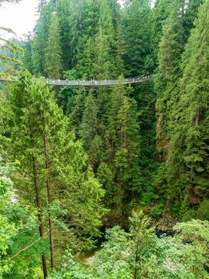 PONTE CAPILANO EM VANCOUVER CANADÁ