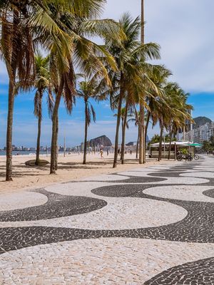 CALÇADÃO E PALMEIRAS