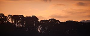 ARAUCÁRIAS E PÔR DO SOL EM URUBICI LL