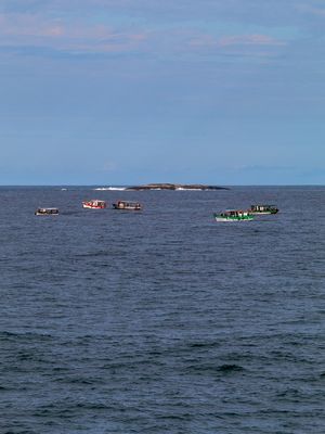 BARCOS PESQUEIROS