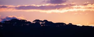 LINDAS NUVENS E ARAUCÁRIAS