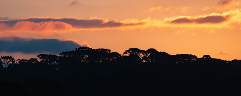 ARAUCÁRIAS E PÔR DO SOL EM URUBICI VL