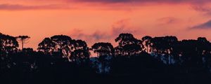 LINDO FIM DO DIA