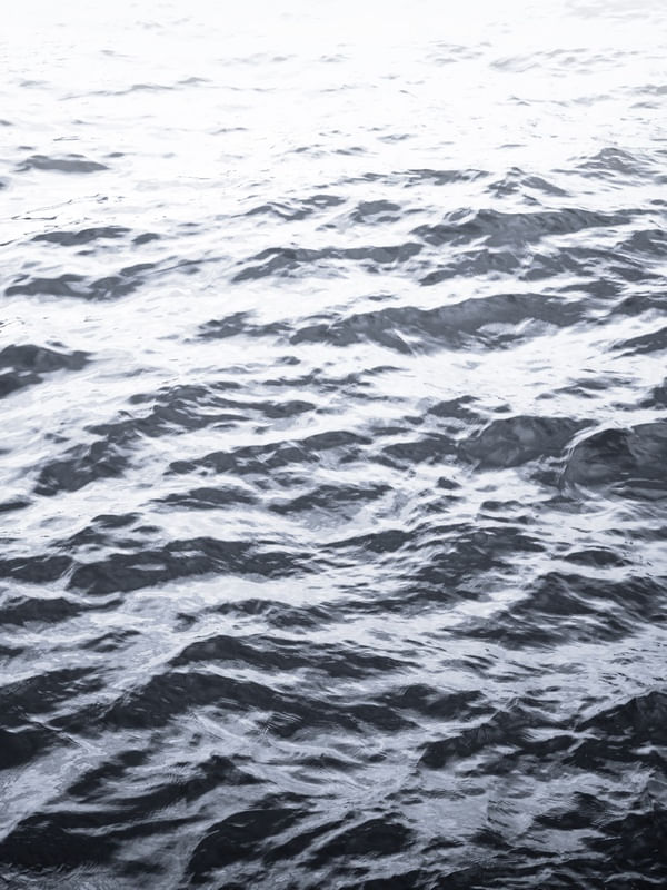 OCEAN 02
