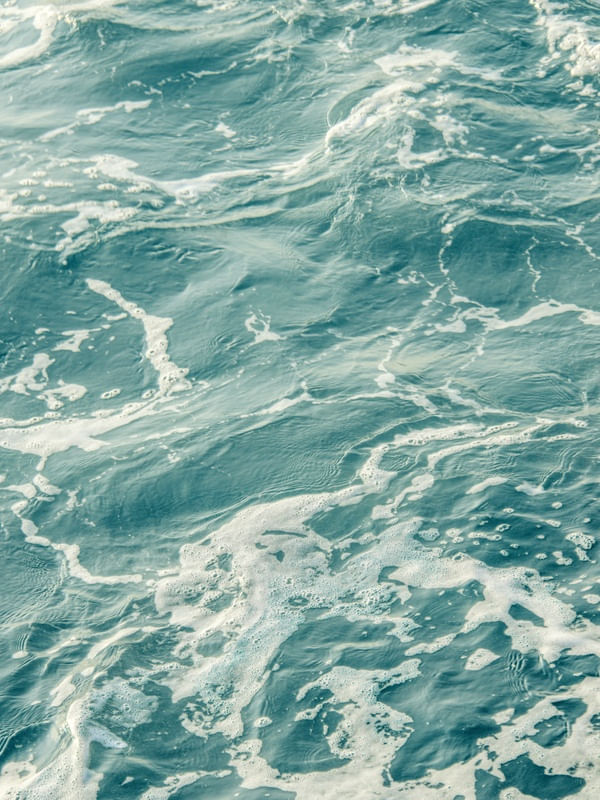 OCEAN 39