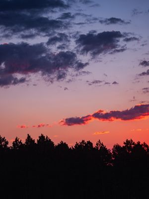 LINDO PÔR DO SOL COM PINUS LL