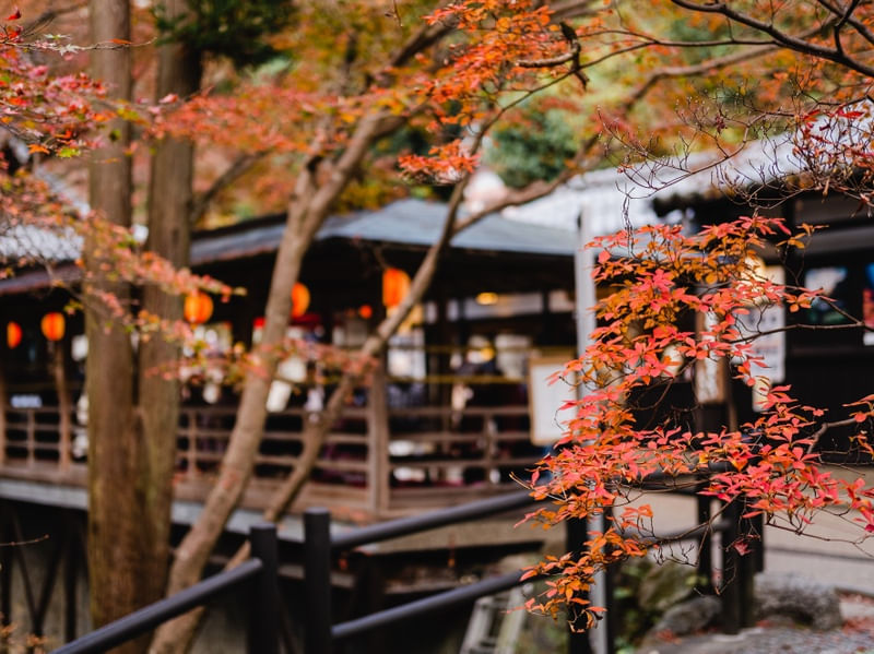 KYOTO KYOMIZUDERA OUTONO JAPAN