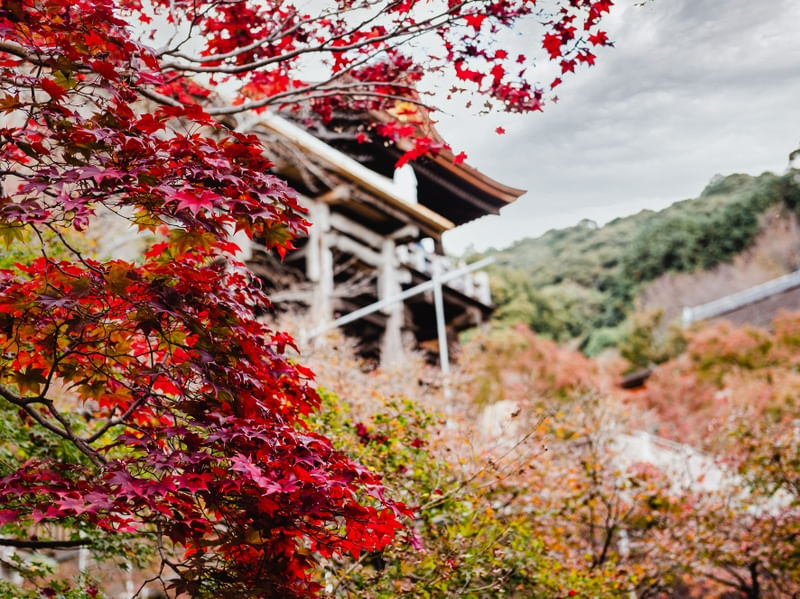 KYOTO KYOMIZUDERA OUTONO JAPAN 2