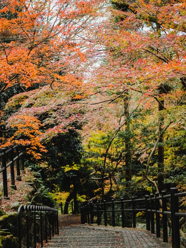 KYOTO KYOMIZUDERA OUTONO JAPAN 3