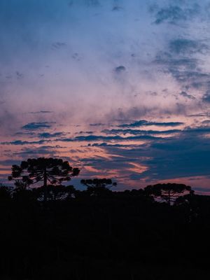 LINDO PÔR DO SOL NO PARQUE NACIONAL DE APARADOS DA SERRA