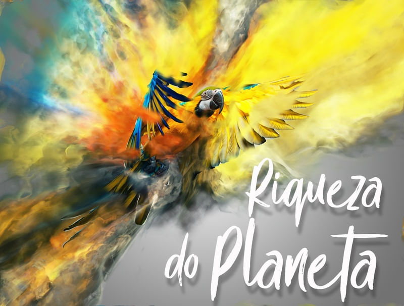 RIQUEZA DO PLANETA