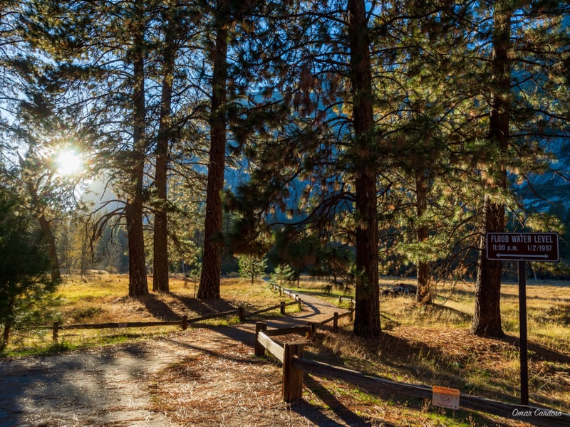 CAMINHOS DE YOSEMITE