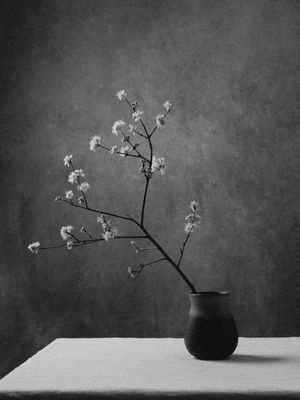 IKEBANA STILL LIFE PB (1)
