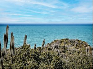 HORIZONTE CELESTIAL