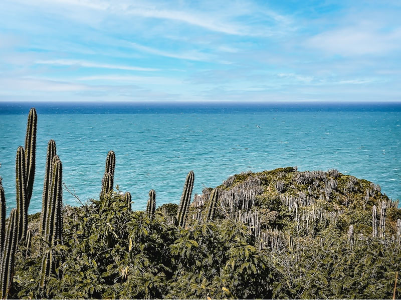 HORIZONTE CELESTIAL
