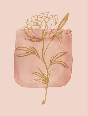 PIEDRA ROSA