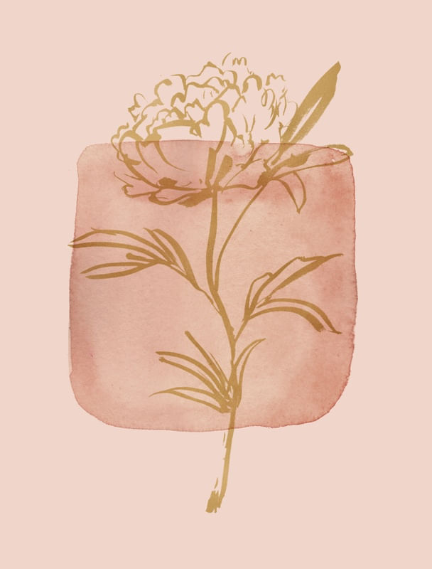 PIEDRA ROSA