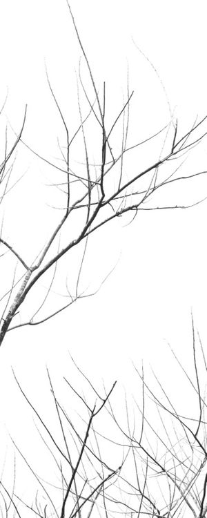 DÍPTICO PANORAMA GALHOS 02