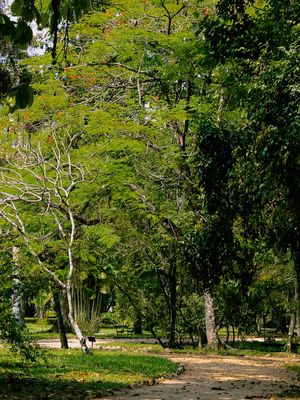 PARQUE SOLITÁRIO