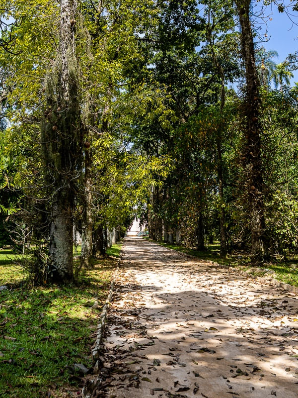 CAMINHO SOLITÁRIO