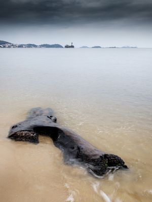 NA BEIRA DA ILHA