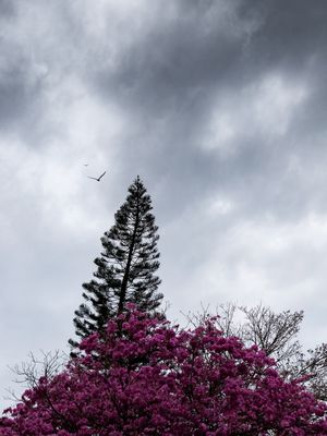 CORES DE INVERNO