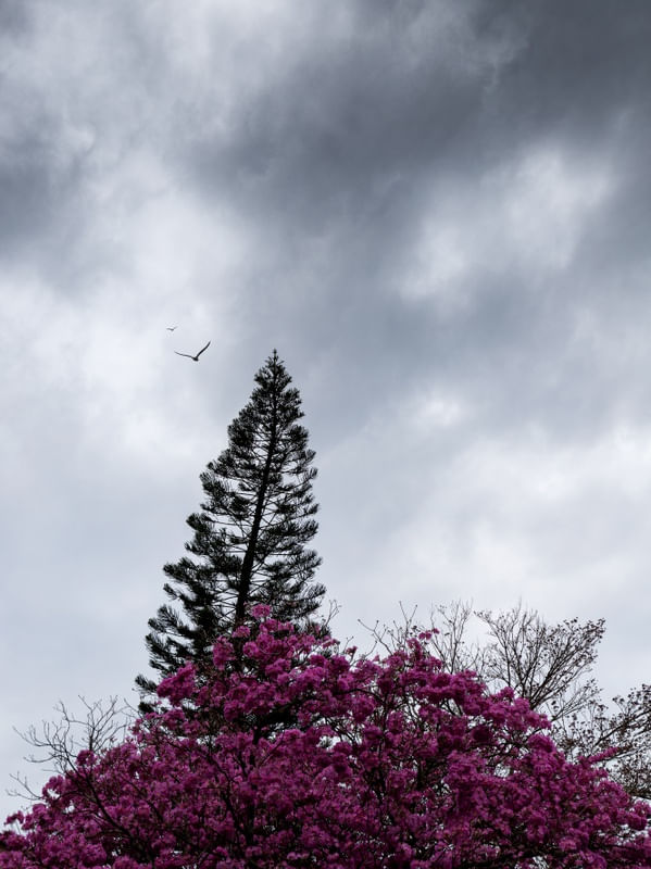 CORES DE INVERNO